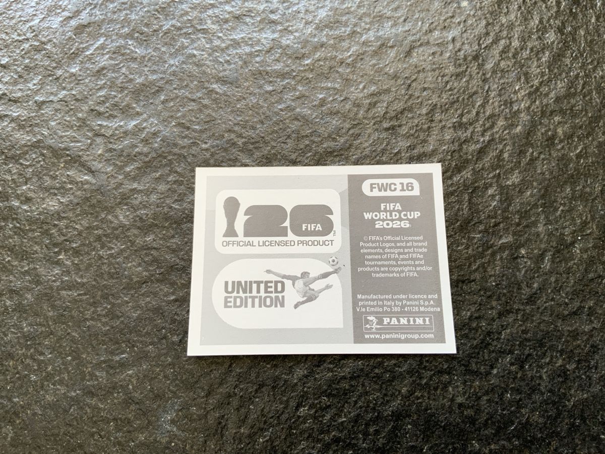 Panini Carte collezionabili: Panini Bild – Usato da Widnau venduto da Como2006 1