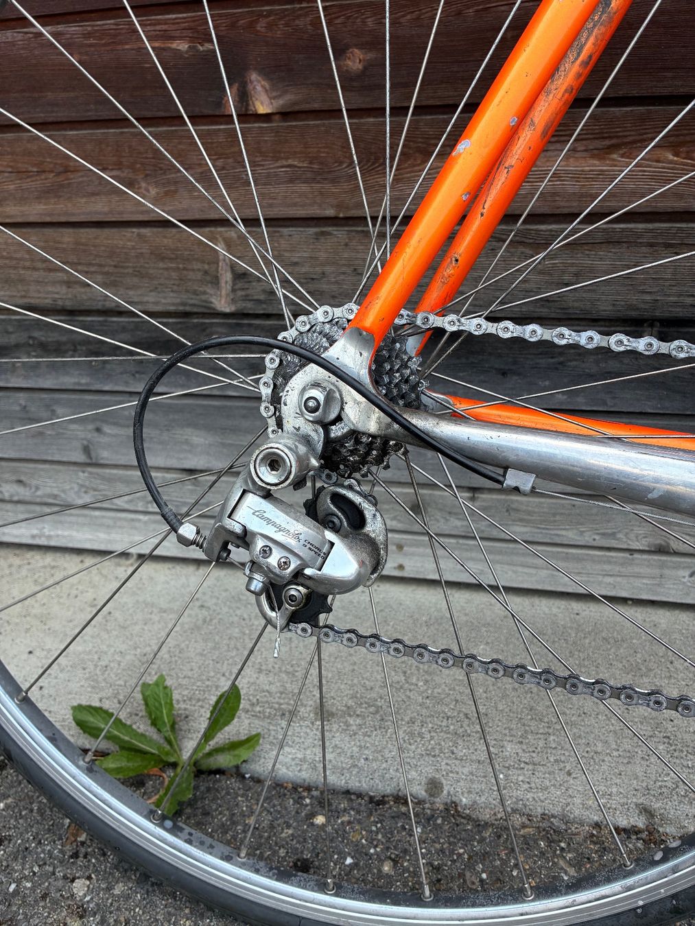 Velos: Rennvelo Viner Pro Team – Gebraucht aus Wilen b. Wil von Cgoetsch 1