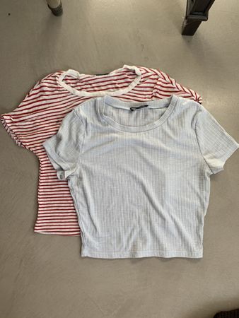 Zara Tally Wejl Crop Tops Size M