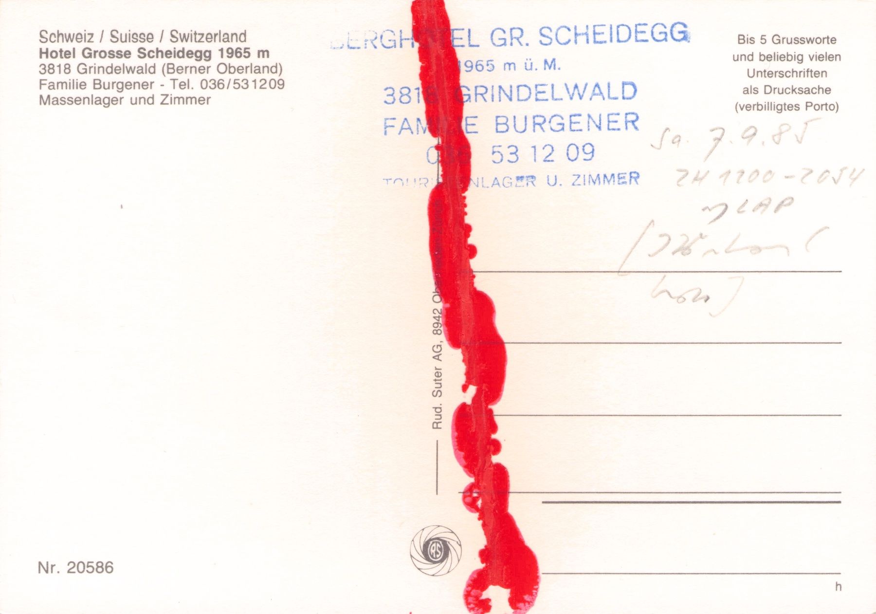 Cartoline postali: Postauto // Grindelwald PTT Grosse Scheidegg // Saurer, FBW – Usato da Basel venduto da intermezzo12 1