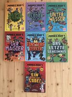 7 Minecraft Bücher
