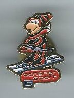 Ochsner Sport, Pin