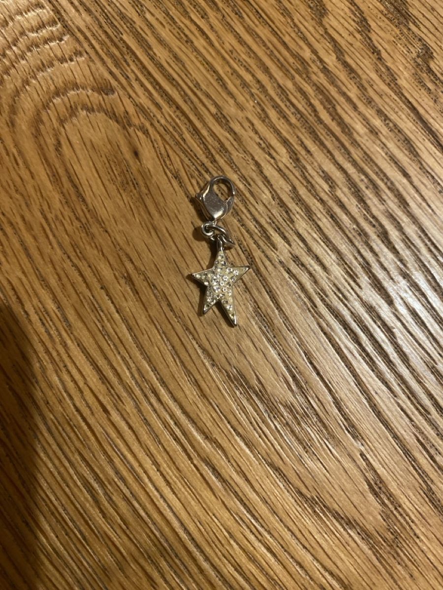 Swarovski Ciondoli: Swarovski Charm Stern – Usato da Muri AG venduto da sonneblueme10