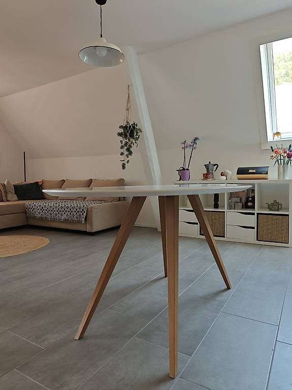 Tavoli: Table à manger ovale 4 à 6 personnes – Usato da Cernier venduto da pau_hz6n 1