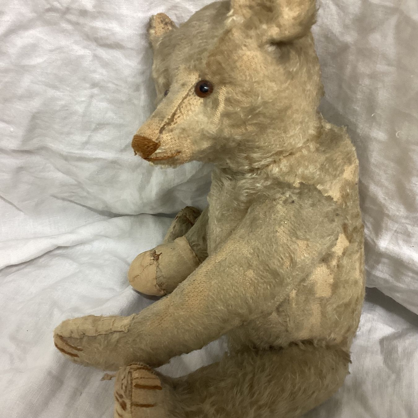 Steiff Spielzeuge: STEIFF TEDDY VON 1908/1912 SEHR SELTEN – Gebraucht aus Münchenstein von NoSu98 1