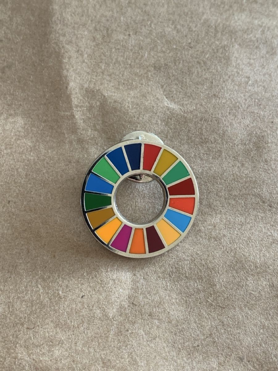 Placchette & Badge: SDGs Pin – Nuovo (secondo la descrizione) da Zürich venduto da herbalpoetry