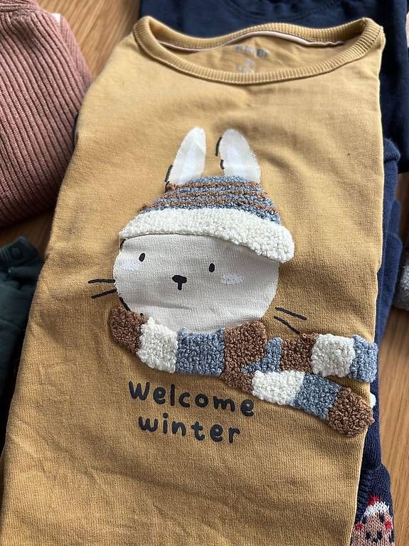 Lotti & Set di vestiti: Lot pull 18-24 mois – Usato da Petit-Lancy venduto da patou.711 2