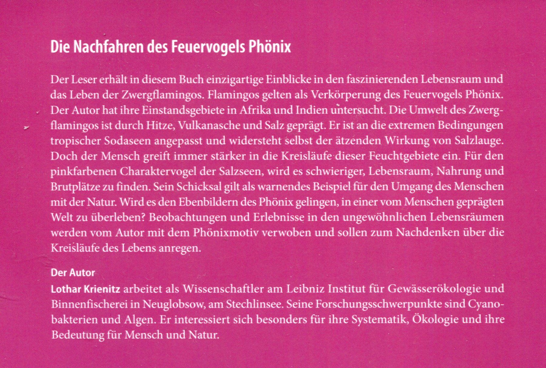 Libri: Flamingos, Zwergflamingos – Usato da Aarau venduto da Elmaar41 1