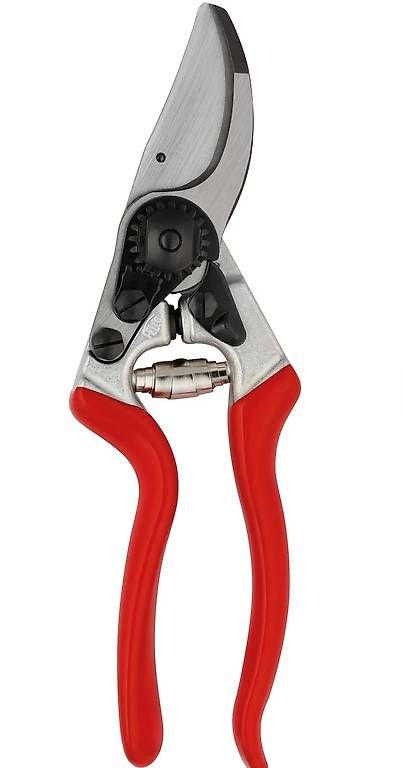 Alle Werkzeuge: Forbici da giardino Felco  – Gebraucht aus Losone von mar_n5ds 2