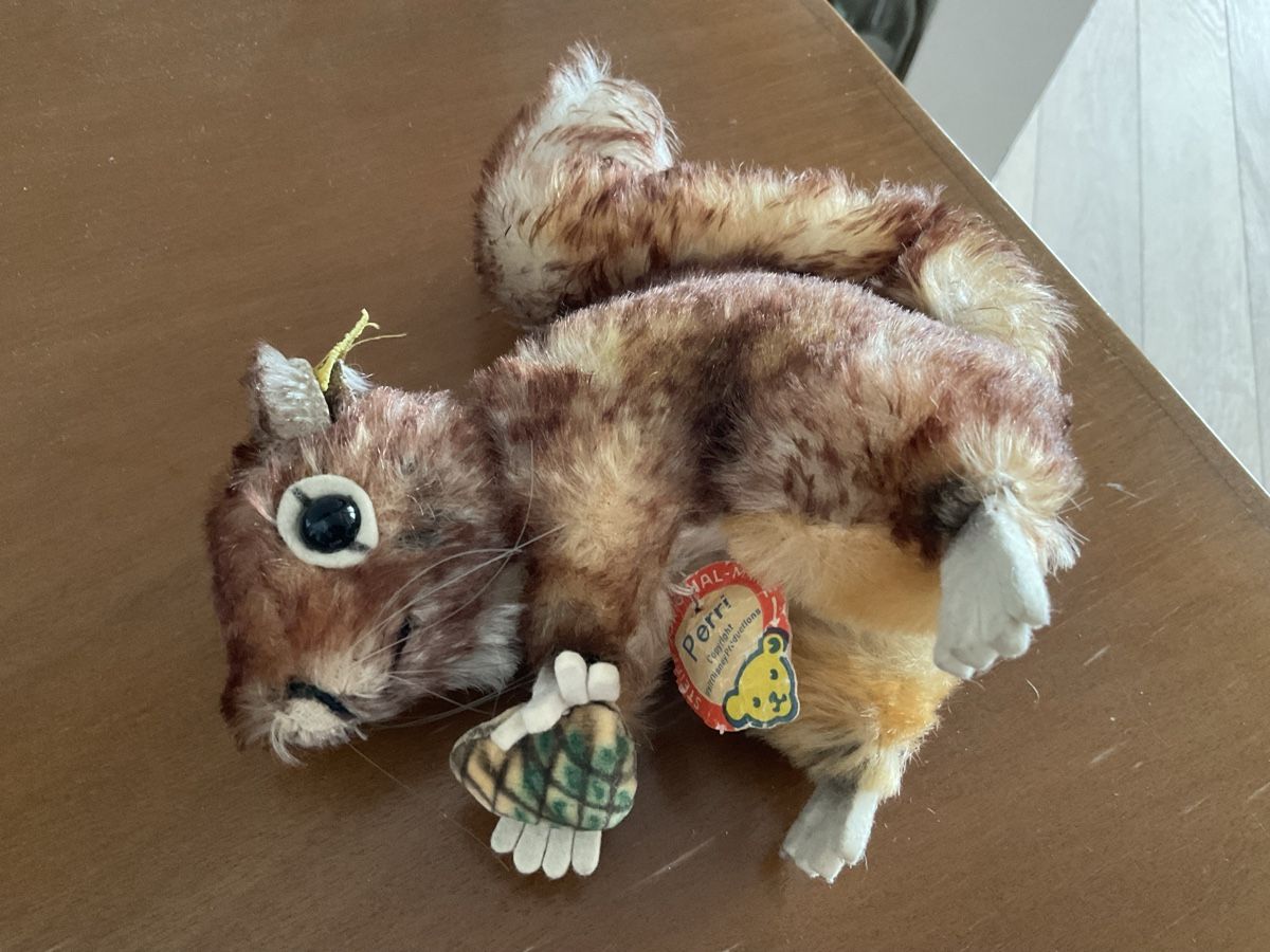 Steiff Giocattoli: Steiffeichörnchen Perry 1960s – Usato da Herbriggen venduto da Sehrazade 1