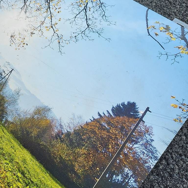 Foto & Immagini: Bild Kuh 80x40 – Usato da Reichenbach i. K. venduto da likki07 2
