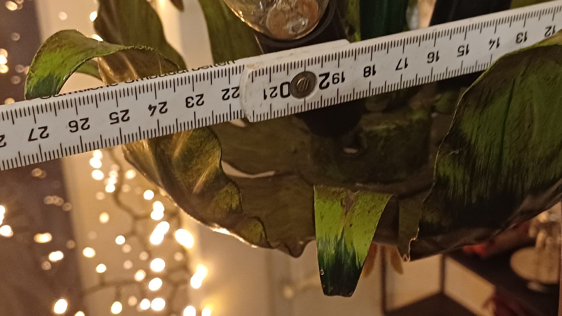 Lampen: Vintage Tulpenlampe – Gebraucht aus Flawil von Pinkmalibu 4