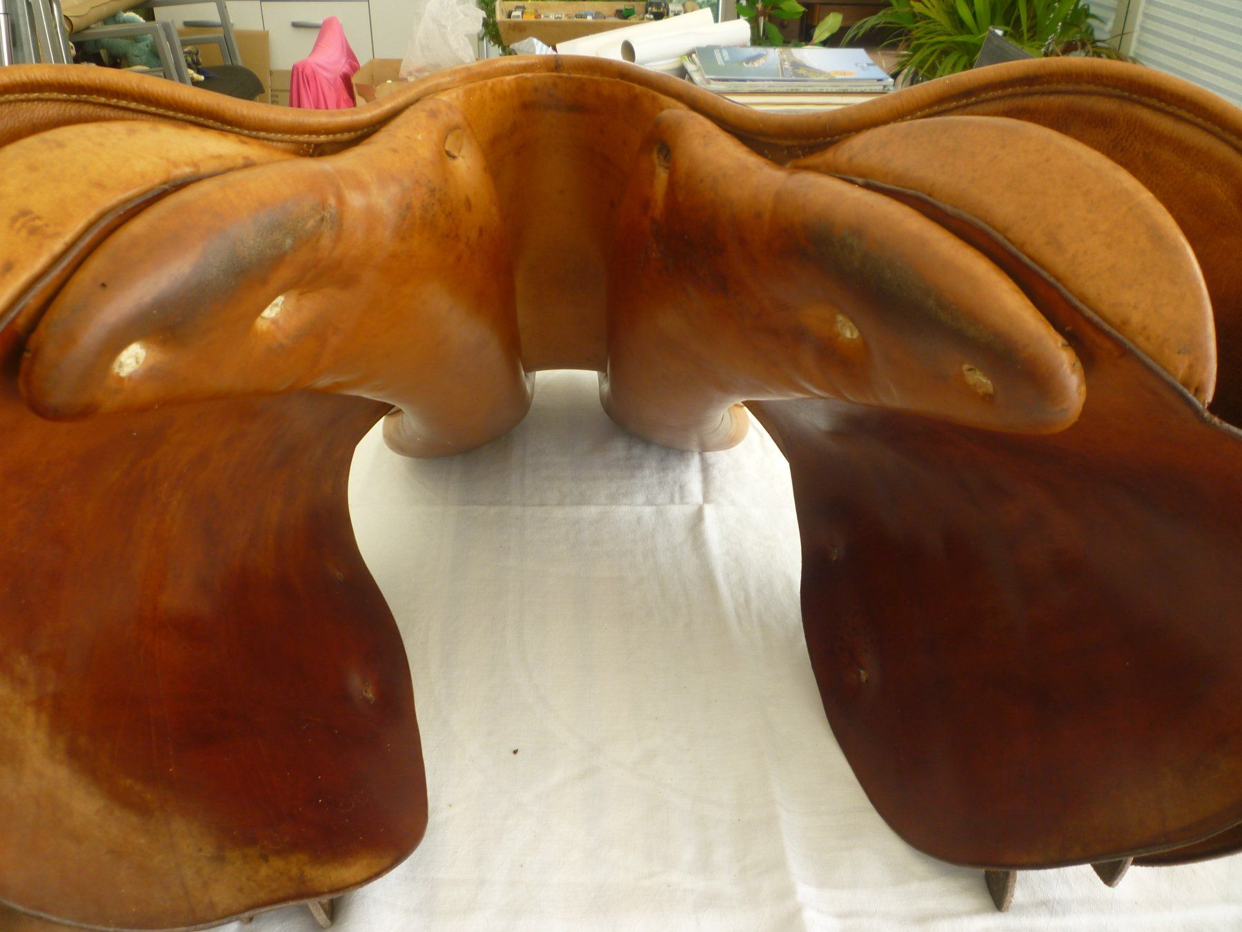 Selle & Accessori: pferdesattel – Usato da Langnau am Albis venduto da Molosser 2