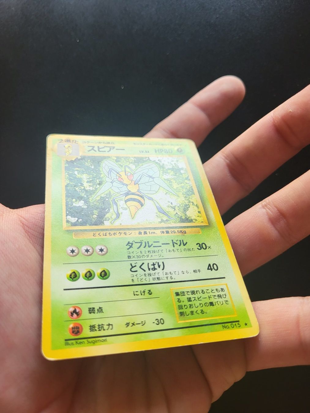 Pokémon Carte collezionabili: Pokemon Bibor Rare Jap. – Usato da oberbuchsiten venduto da thug4 2