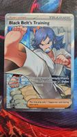 Pokemon Black Belts Training 255/217 Ascended Hereos EN