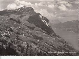 Amden 1955