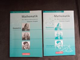 Mathematik für Maturitàtsstufe Schweizer Ausgabe, Geometrie