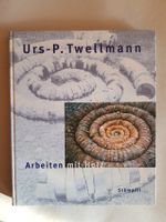 Kunst Buch: Urs P. Twellmann Arbeiten mit Holz -2005