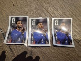 panini coca Eduardo Camavinga