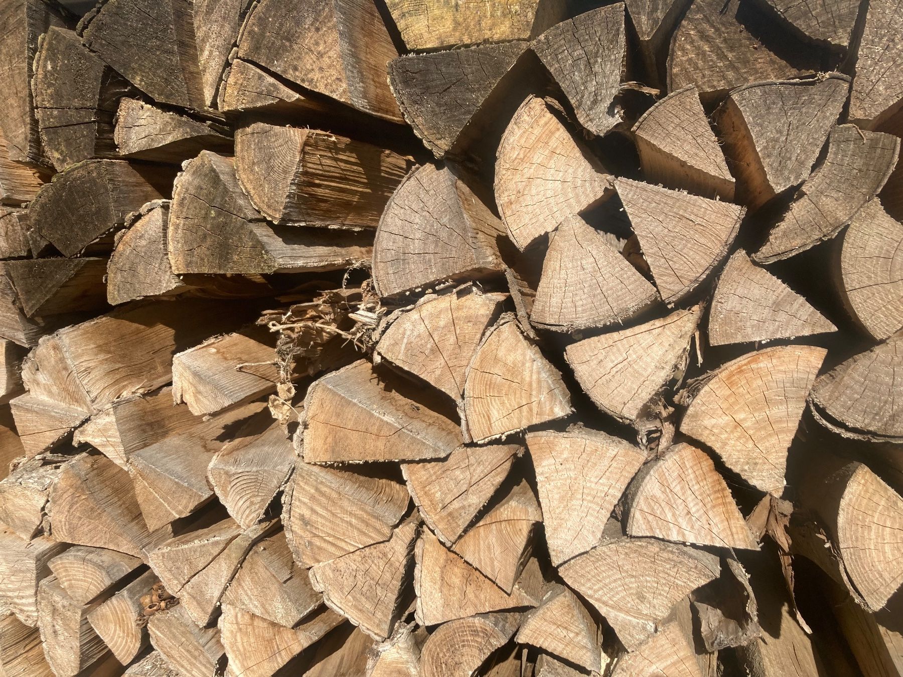 Articoli in legno: Brennholz Esche – Usato da Hosenruck venduto da Fox690 1