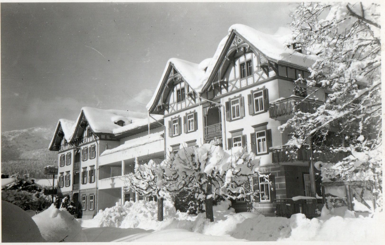 Cartes postales: Flims Waldhaus - Hotel Adula – Neuf (Voir description) à Melano par pisonsdro