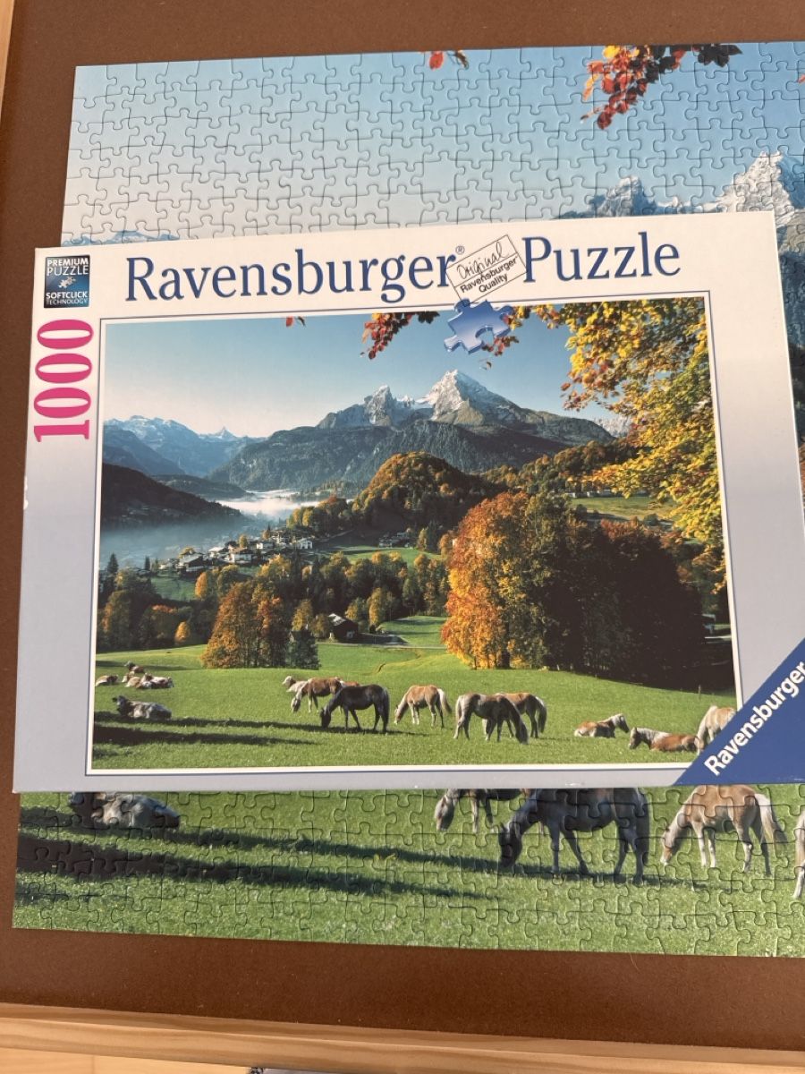 Ravensburger Puzzle: Puzzle – Usato da Widen venduto da Carnevale 1