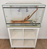 Terrarium+Unterschrank+Zubehör! Top Zustand! Kaum gebraucht!