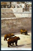 ANSICHTSKARTE BERN BÄRENGRABEN