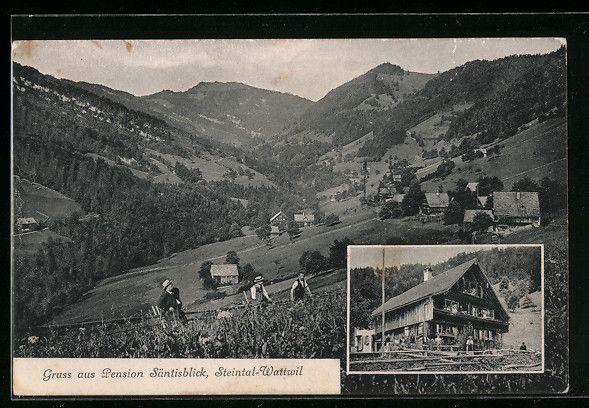 Cartoline postali: Steintal-Wattwil, Pension Säntisblick,  – Usato da Berlin venduto da bartko-reher
