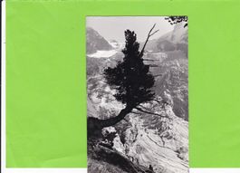 Glacier du trient