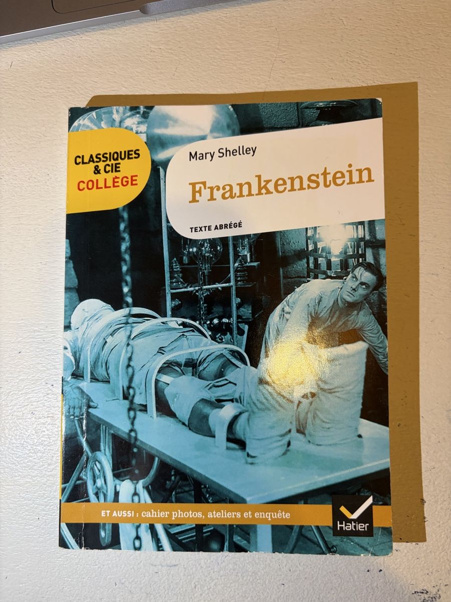 Libri: Frankenstein – Usato da Bussigny venduto da mar_sz5d