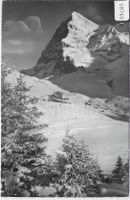 Wengernalp mit Eiger im Winter en hiver
