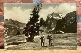 Bei Grindelwald & Wetterhorn - Sennen - Berner Oberland
