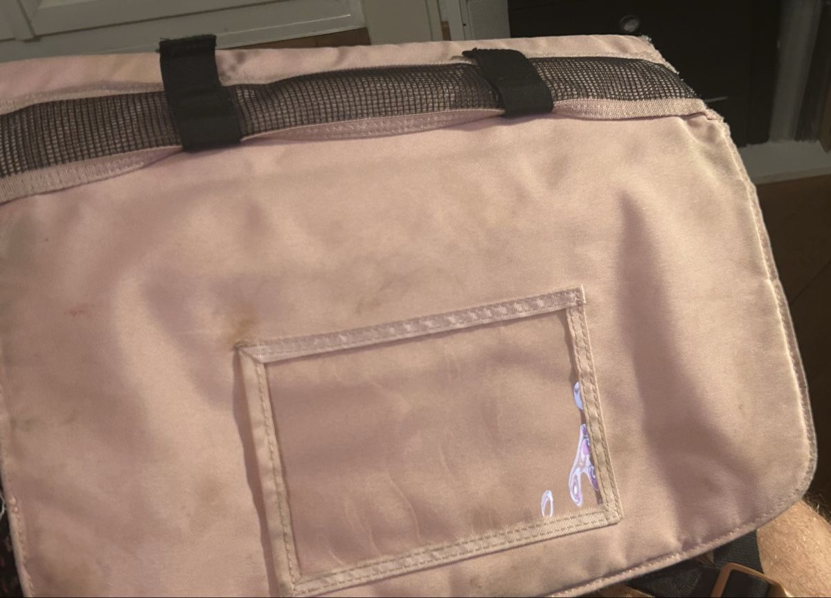 Zaini: Schulrucksack / Schultasche – Usato da Bern venduto da The_One_Salesman 3