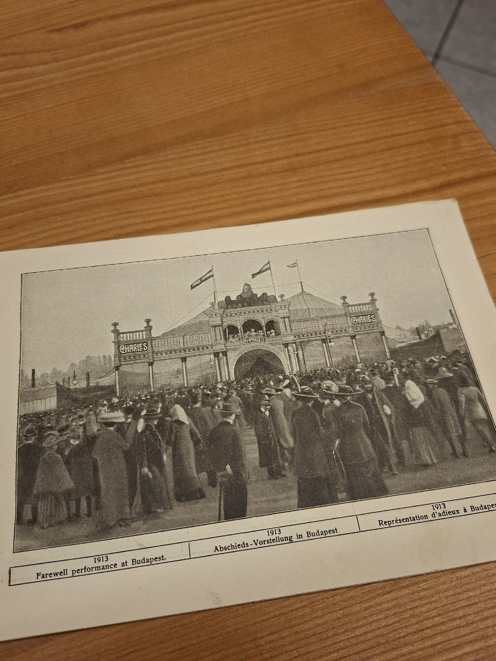 Documenti: Prospekt Cirkus Krone früher Charles 1901 – Usato da Ganterschwil venduto da HeidiuPeter 5