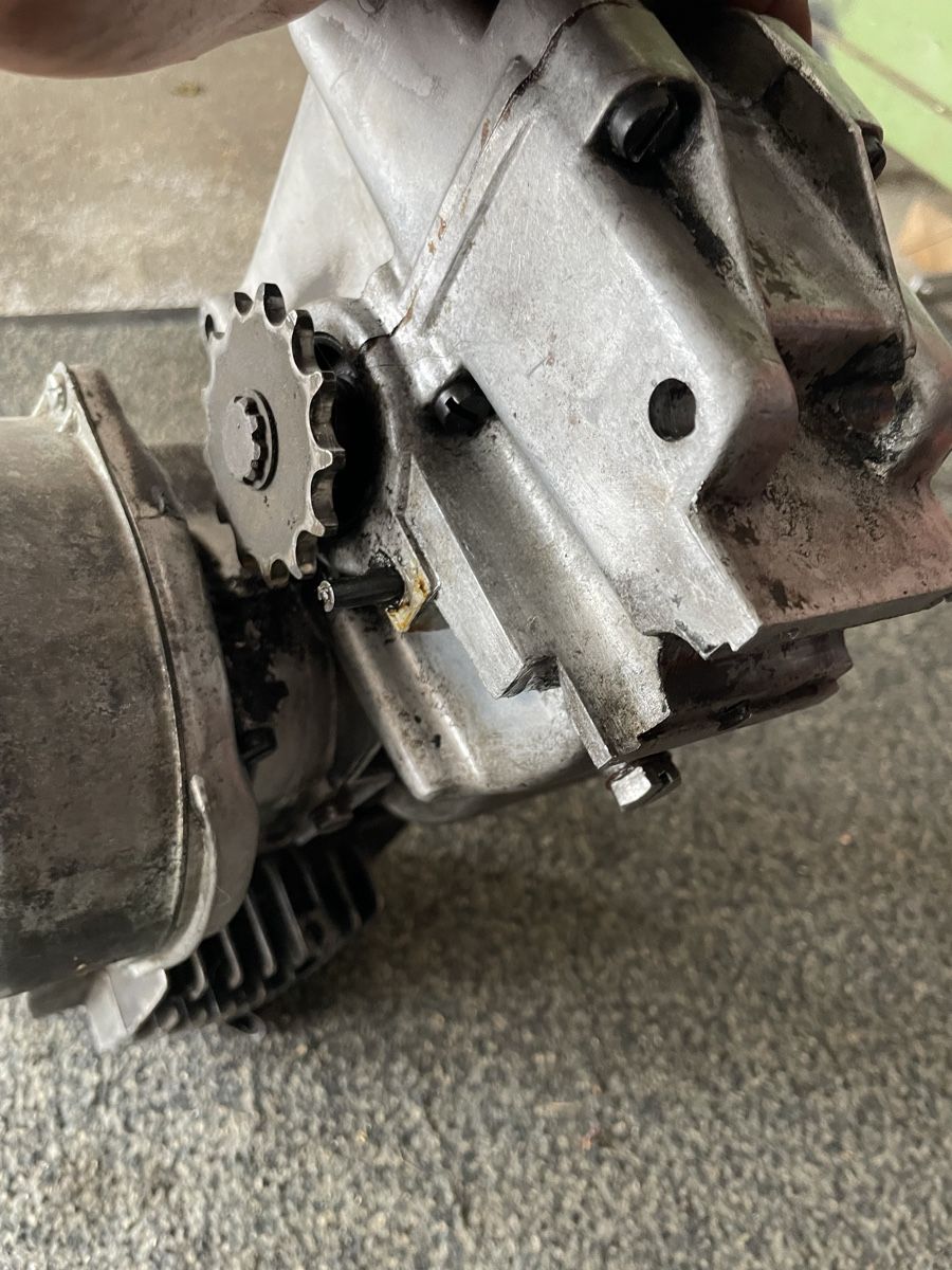Puch Motori: Puch Ur Maxi Motor – Usato da Gwatt (Thun) venduto da omega87 3