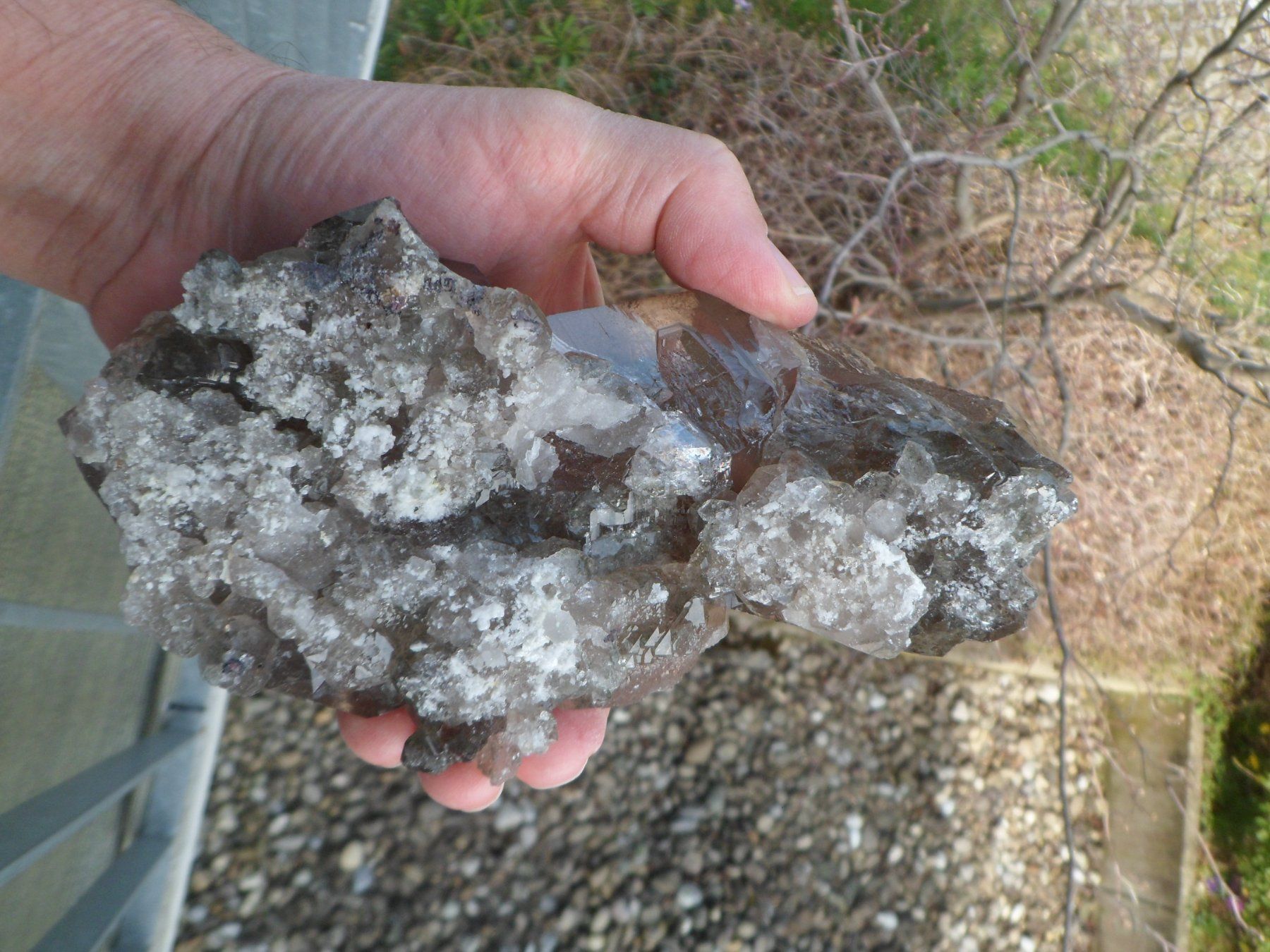 Minerali & Pietre curative: Rauchquarzstufe Schweiz – Usato da Affoltern am Albis venduto da Fossil60 4
