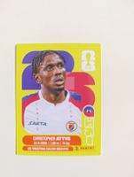 Panini World Cup 2026 HAI 14