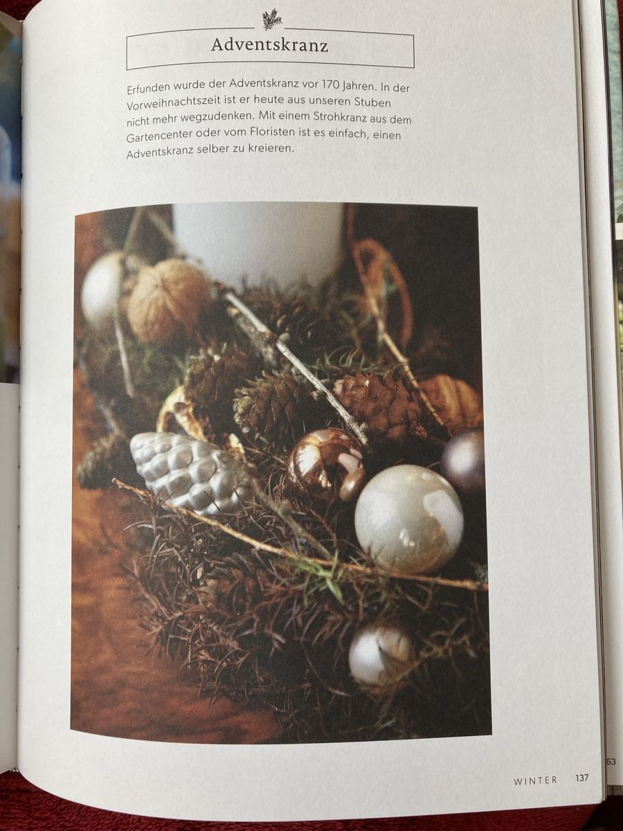 Bücher: Naturdeko Buch Petra Salvisberg – Gebraucht aus Widen von nigella90 3
