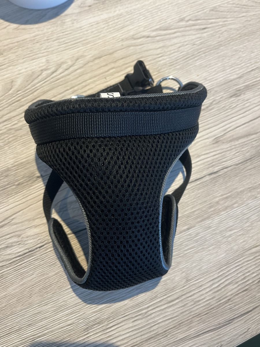 Attrezzatura di sicurezza: Harnais voiture pour chien AniOne, taille S – Nuovo (secondo la descrizione) da Sonceboz-Sombeval venduto da mak_z2tk 1