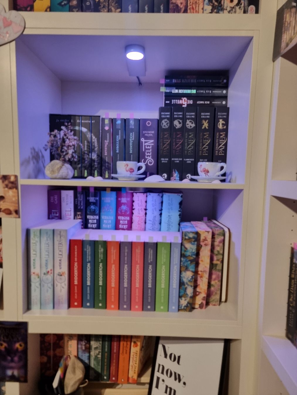 Scaffali: Hochwertige Bücherregale Home24 – Usato da Rotkreuz venduto da hoelly87 2