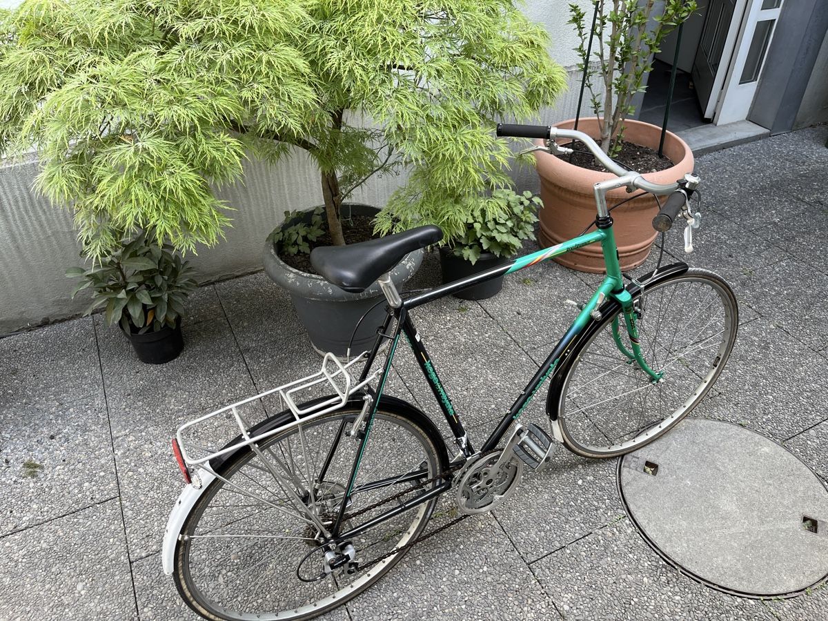 Koga Biciclette: Vintage Koga Miyata Roadrunner – Usato da Zürich venduto da dtrueb 1