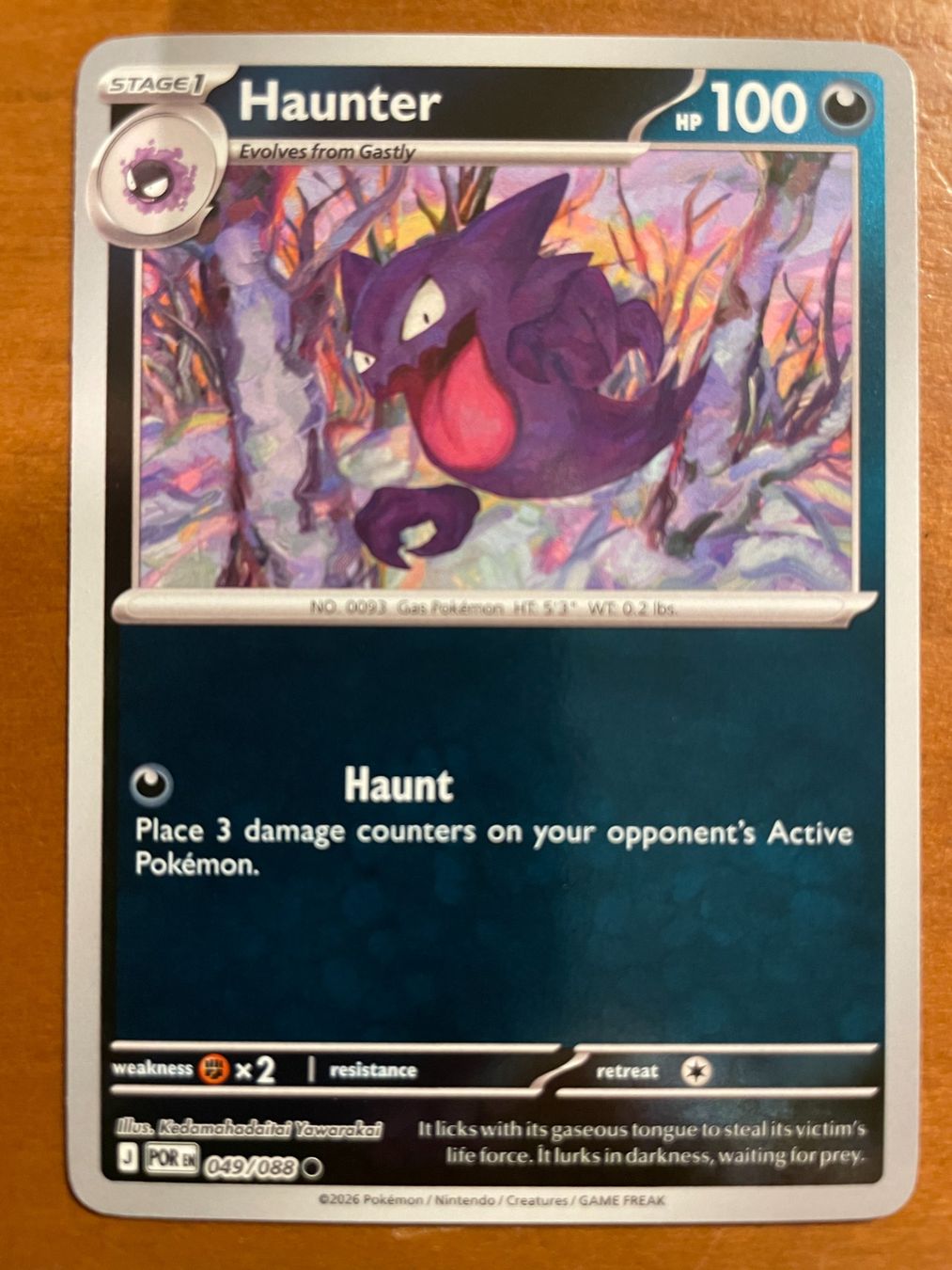 Pokémon Carte collezionabili: Pokemon Haunter Reverse (Versand gratis) – Nuovo (secondo la descrizione) da Chur venduto da Angerson