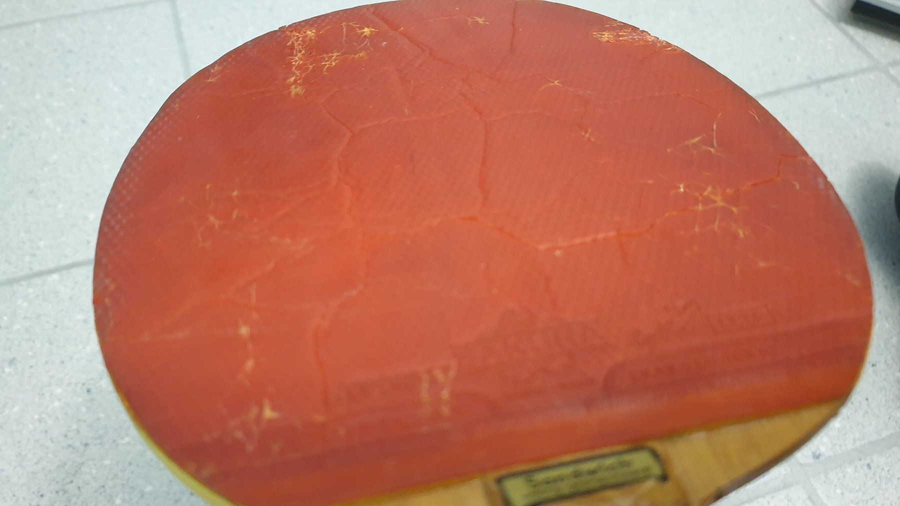 Racchette: Alter Pingpongschläger – Usato da Stäfa venduto da Supertramp73 3