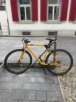 ELOPS 500 bike (single speed) + New Mudguard