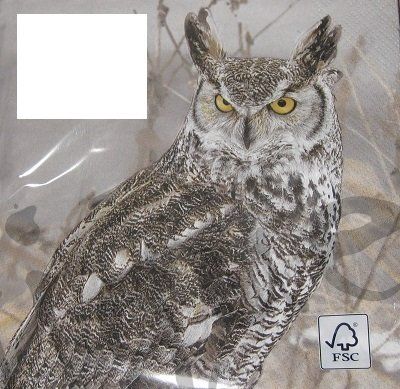 Tovaglioli: Serviette winter owl (t333) 2Stk. – Nuovo (secondo la descrizione) da Schlatt TG venduto da kreativ-atelier