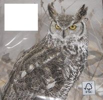 Serviette winter owl (t333) 2Stk.