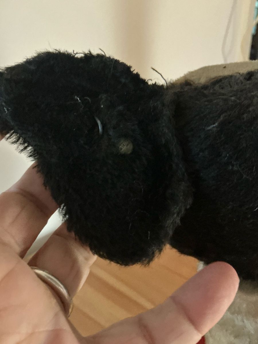 Steiff Spielzeuge: Bully von Steiff auf Rädern – Gebraucht aus Basel von Ajscha7o1 6