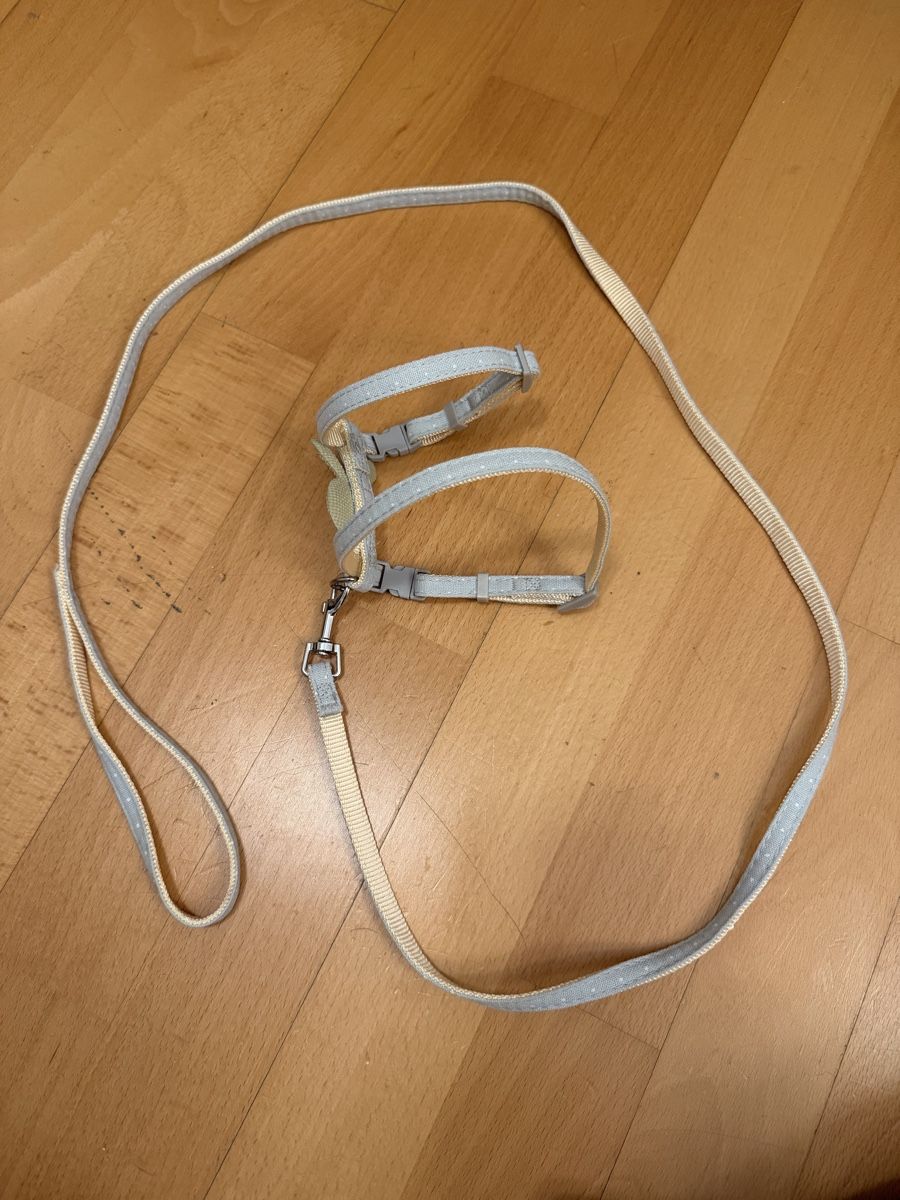 Guinzagli & Collari: Katzengeschirr pet leash – Nuovo (secondo la descrizione) da Zürich venduto da arr_vq5w 1