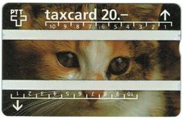 Taxcard P-55 Katze ungebraucht (Top Rarität Nr. 625B_89408)
